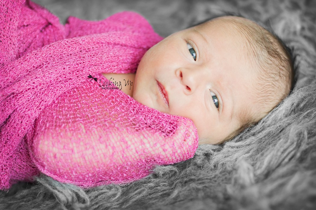 Precious Baby Girl ~ 10 days New {Newborn Photographer Greenwich CT}