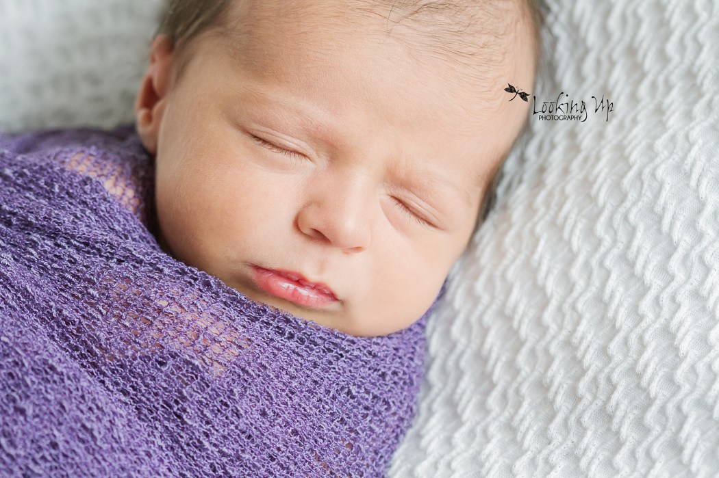 Precious Baby Girl ~ 10 days New {Newborn Photographer Greenwich CT}
