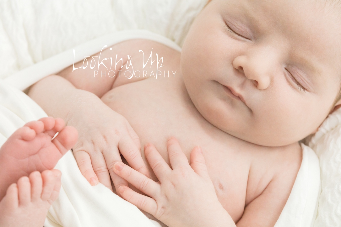 BABY SISTER MAKES FOUR {FAIRFIELD COUNTY NEWBORN PHOTOGRAPHY}