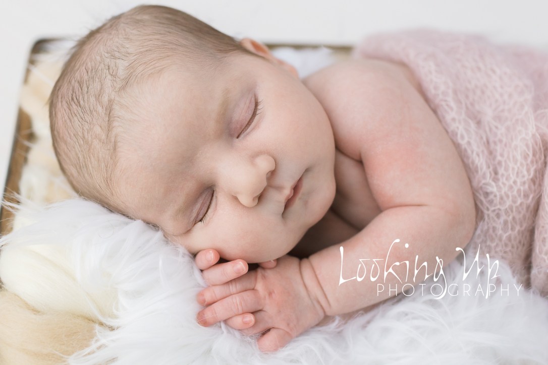 BABY SISTER MAKES FOUR {FAIRFIELD COUNTY NEWBORN PHOTOGRAPHY}