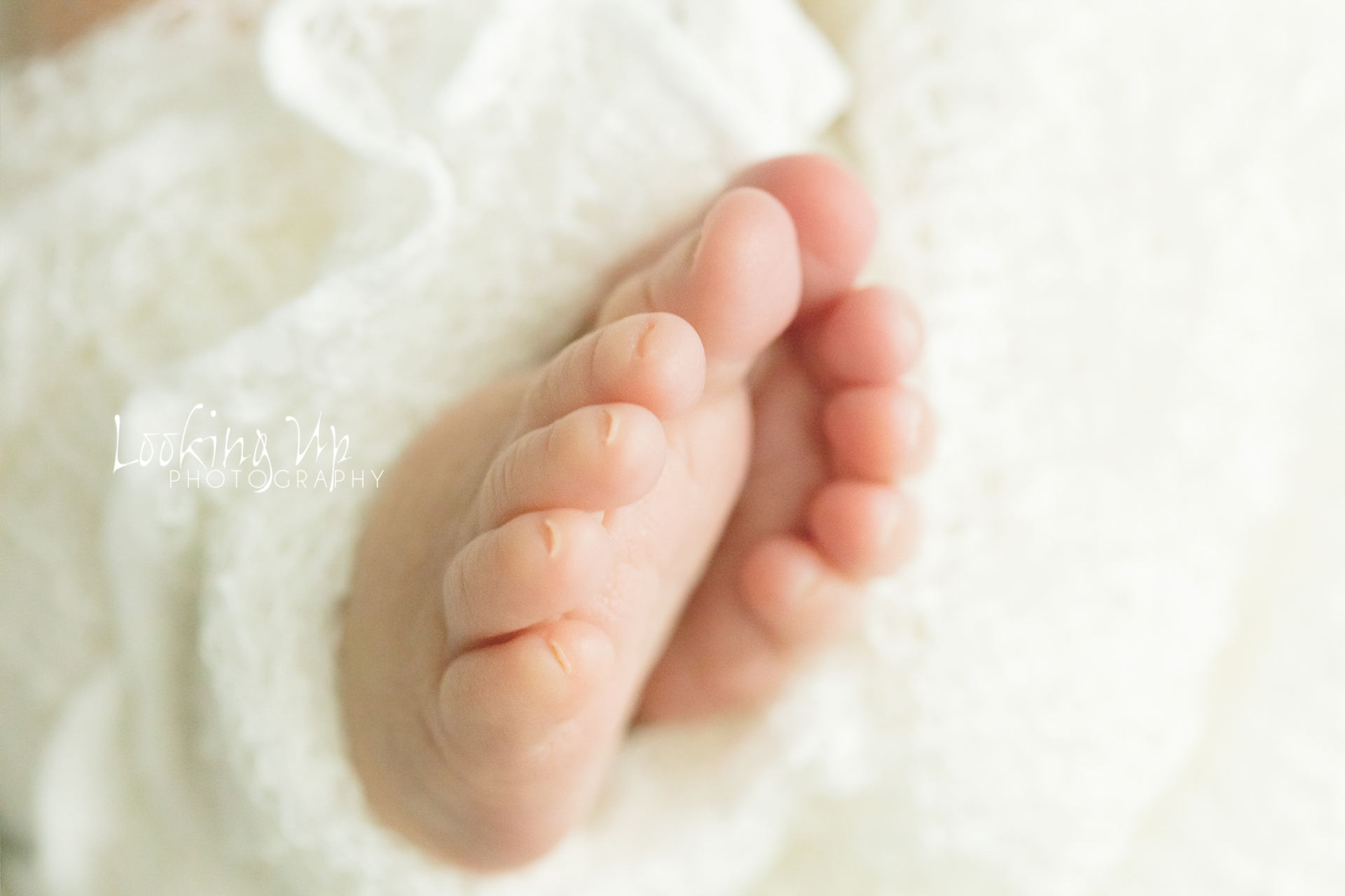 This Duo Became a Trio (Stamford Newborn Photography)