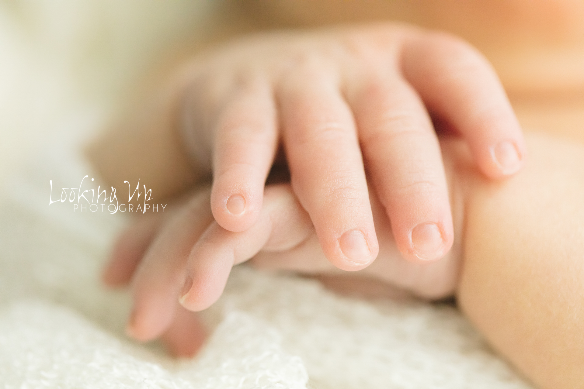 This Duo Became a Trio (Stamford Newborn Photography)