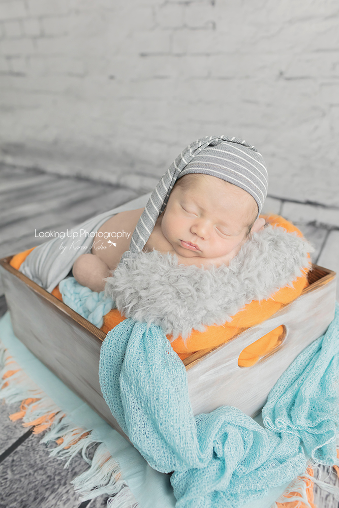 2017-02 NEWBORN Ceglarski-0696-Edit 2018 BLOG logo