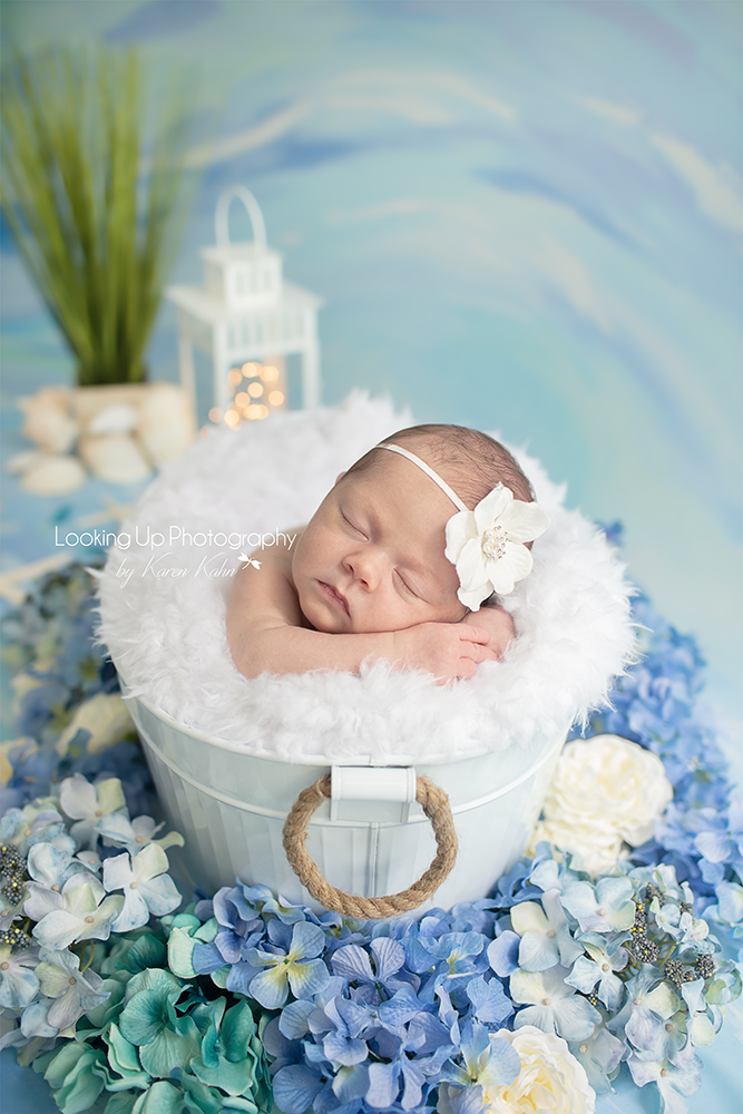 WaterScape Series - Looking Up Photography - Connecticut Newborns