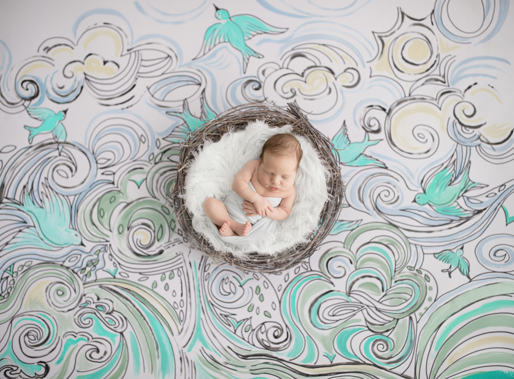 IMG_0221 ta Olivers Nest blog