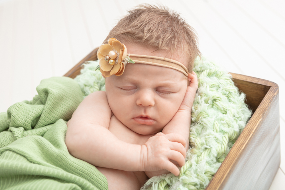 newborn session