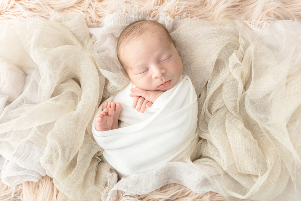 newborn session