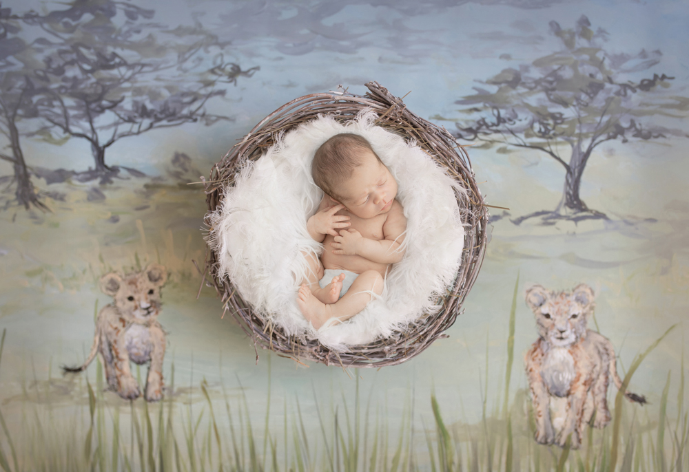 newborn session