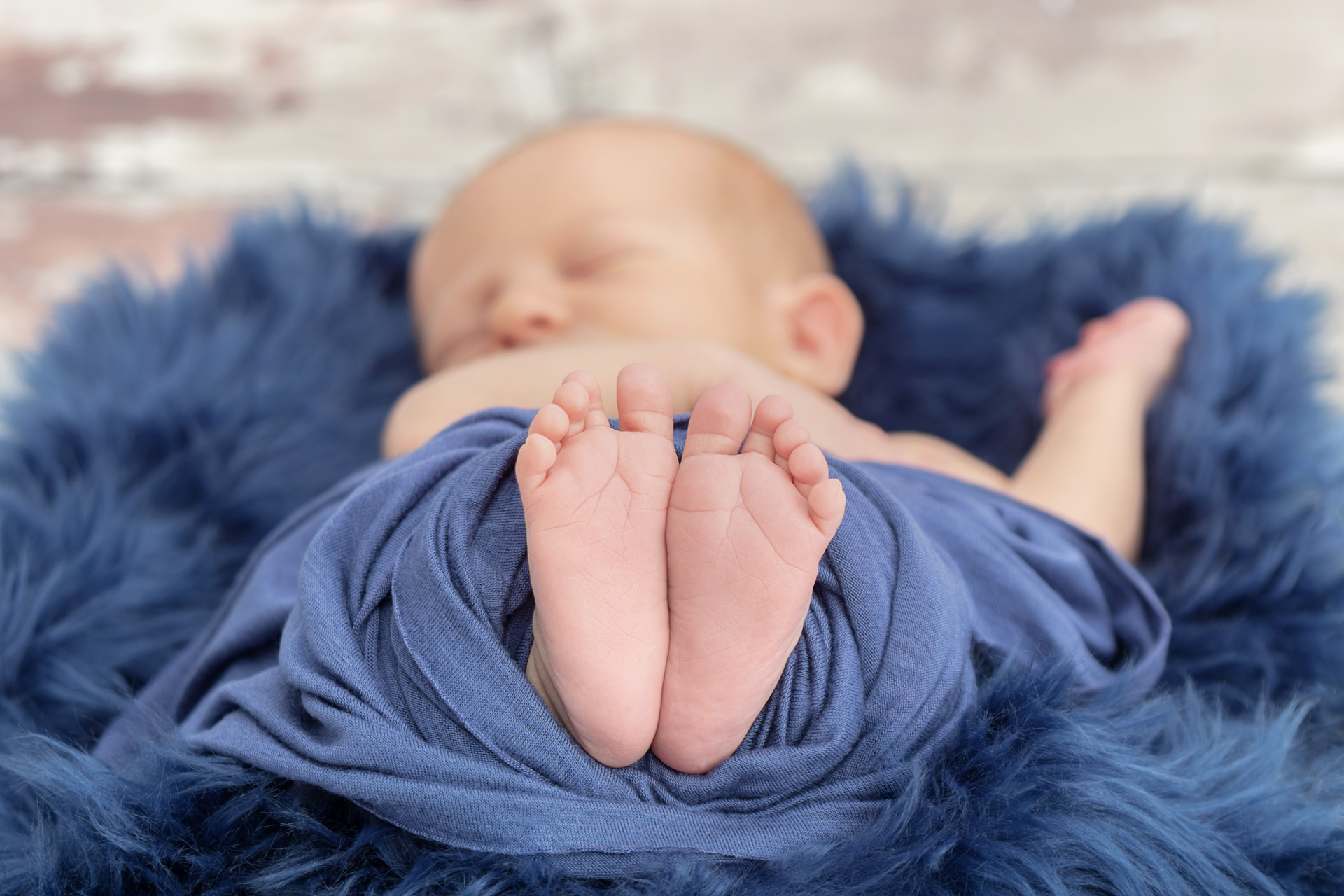 1436 Looking Up Photography