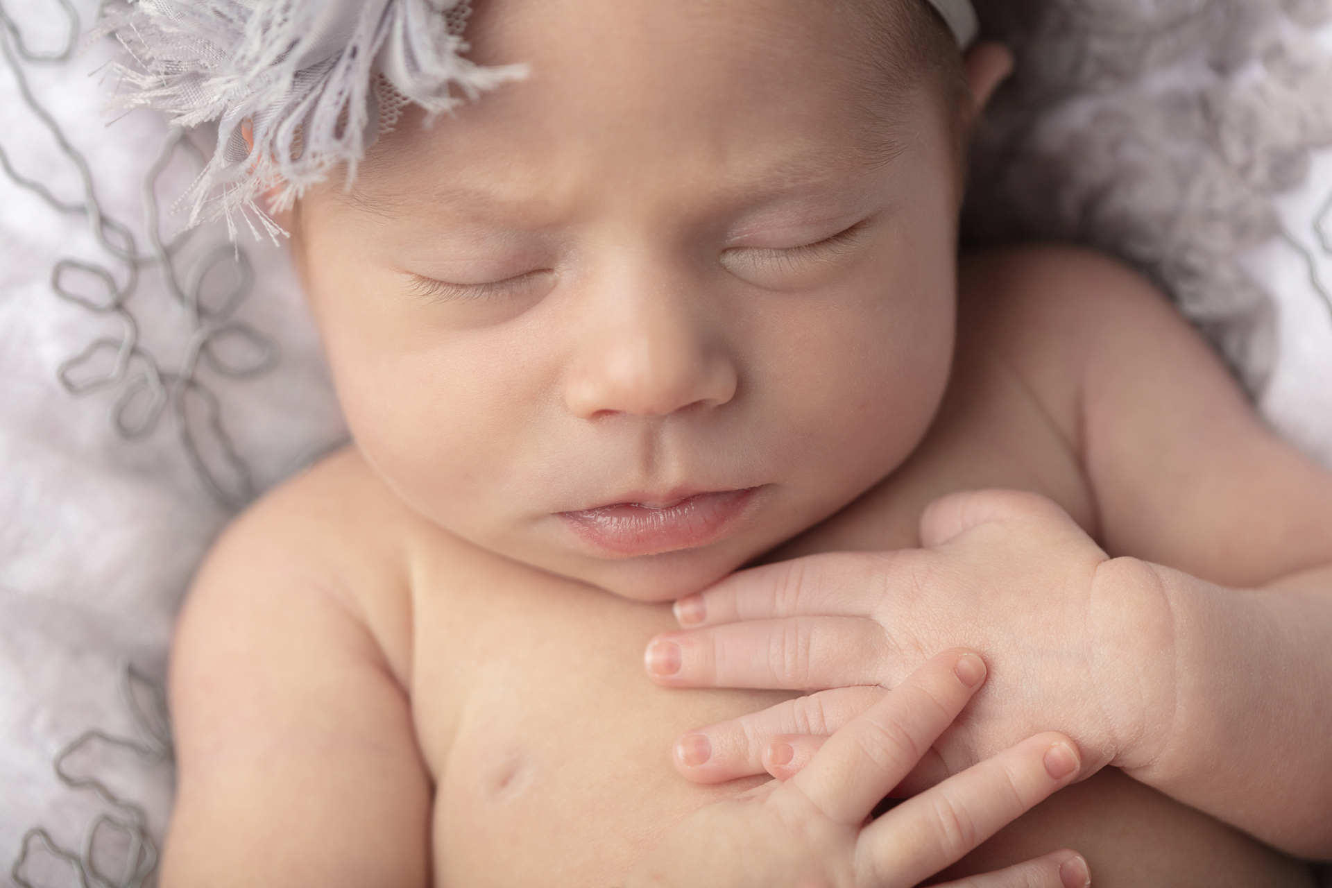 0797 Looking Up Photography