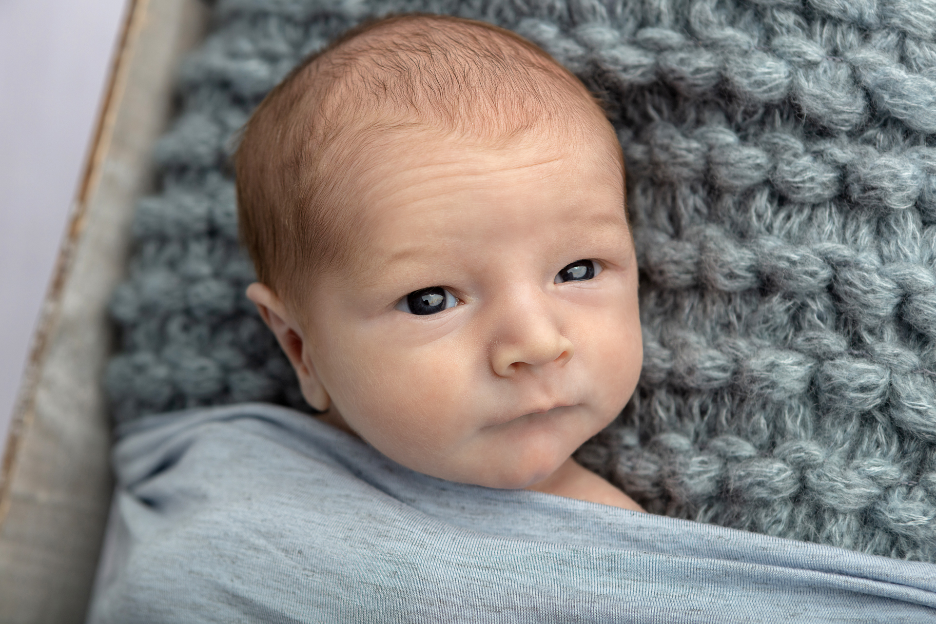 0805 Looking Up Photography