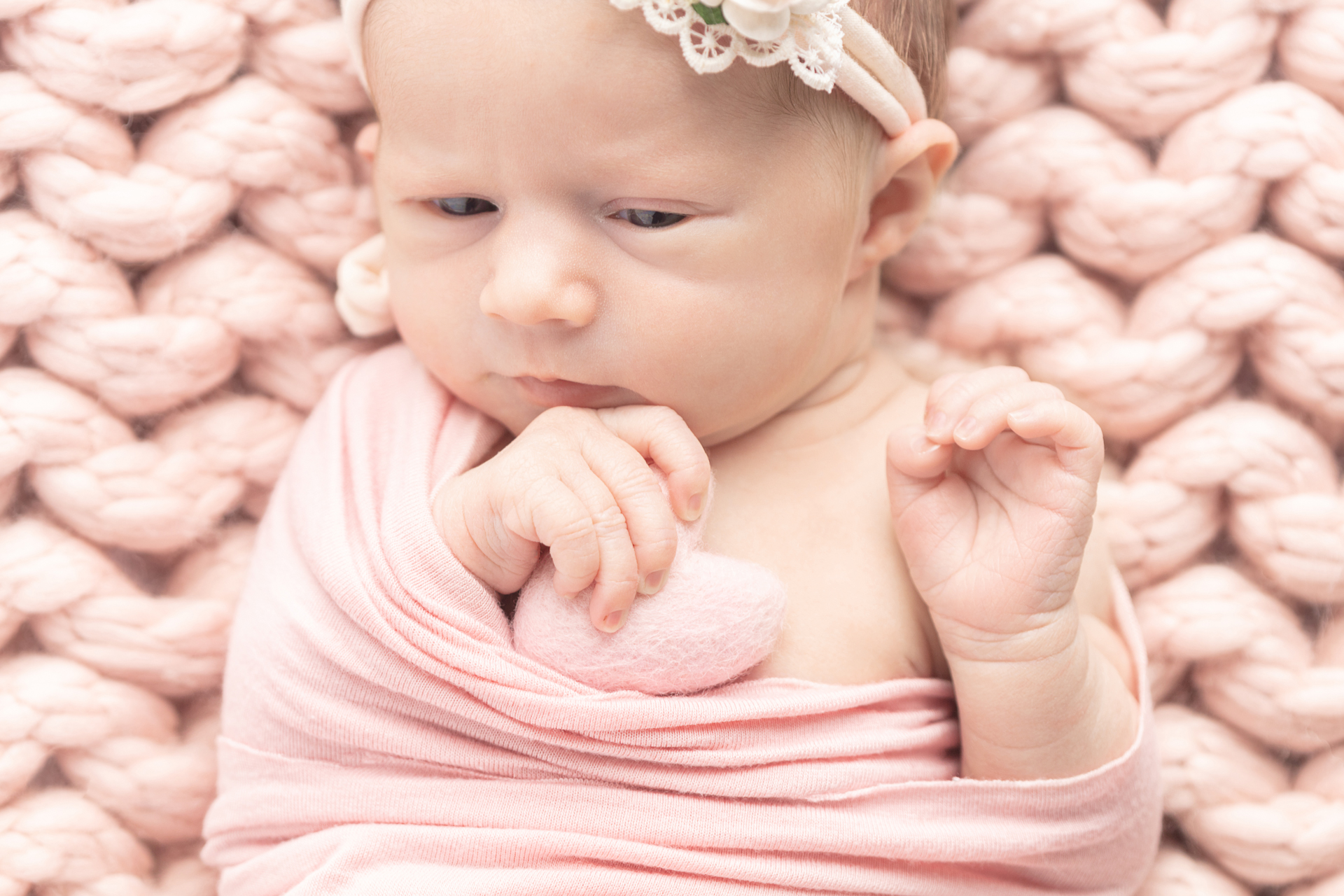 0572 Looking Up Photography