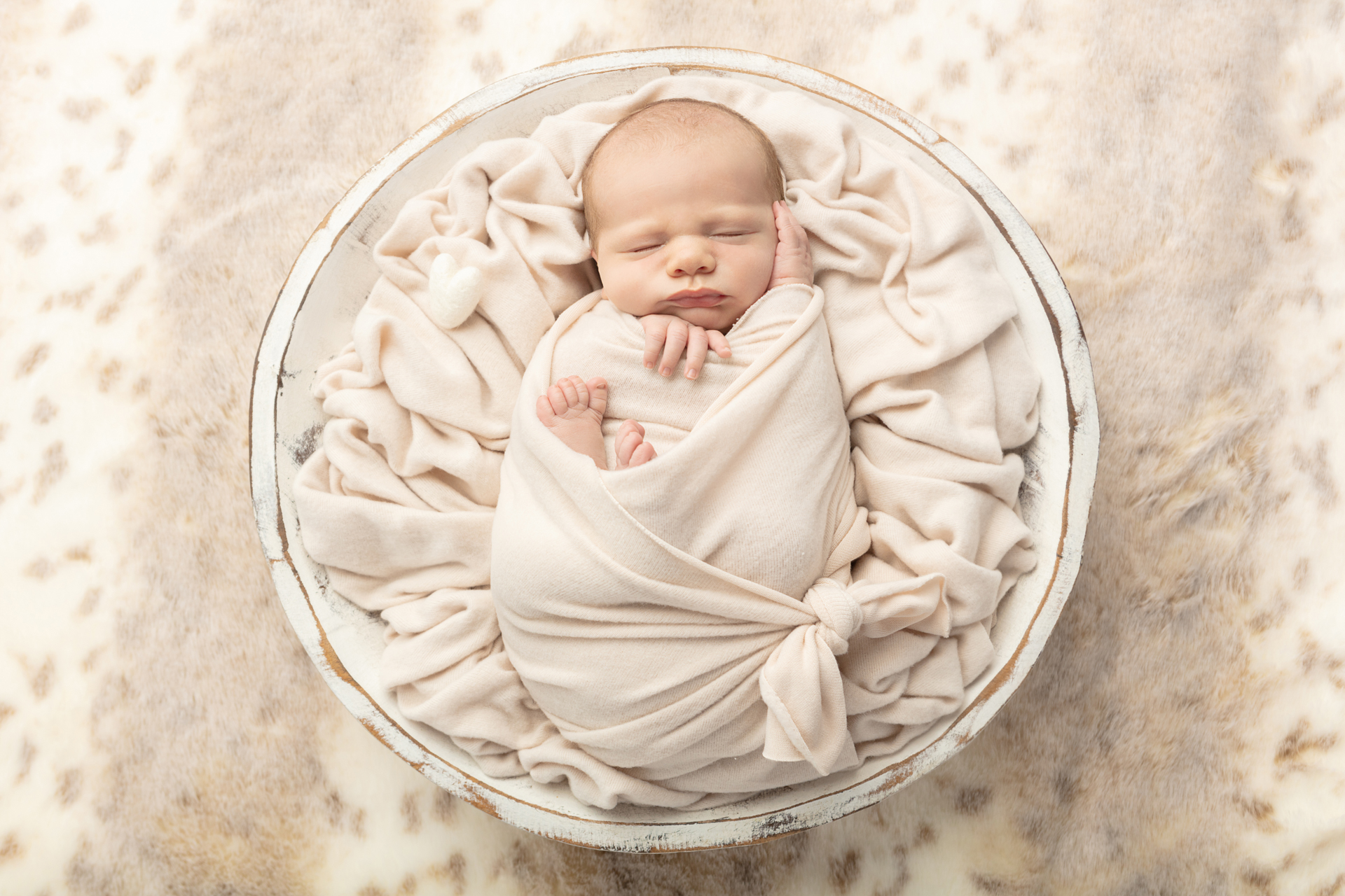 0832 Looking Up Photography