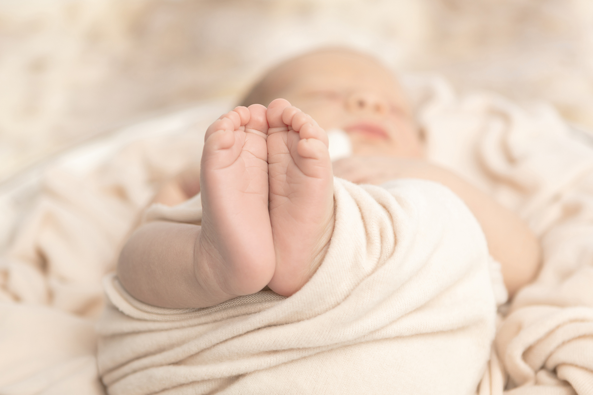 0861 Looking Up Photography