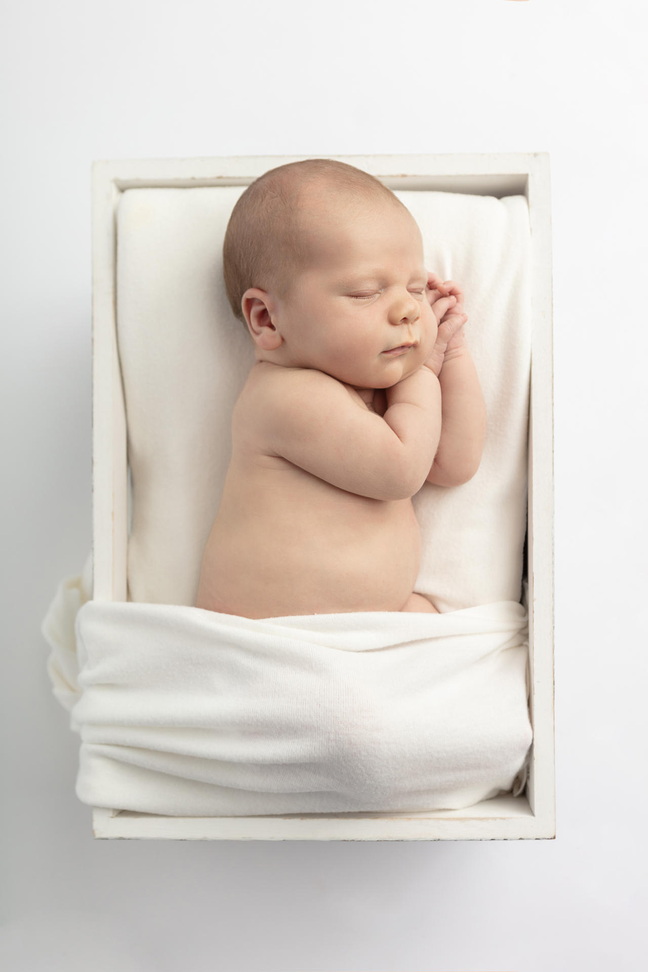 0882 Looking Up Photography