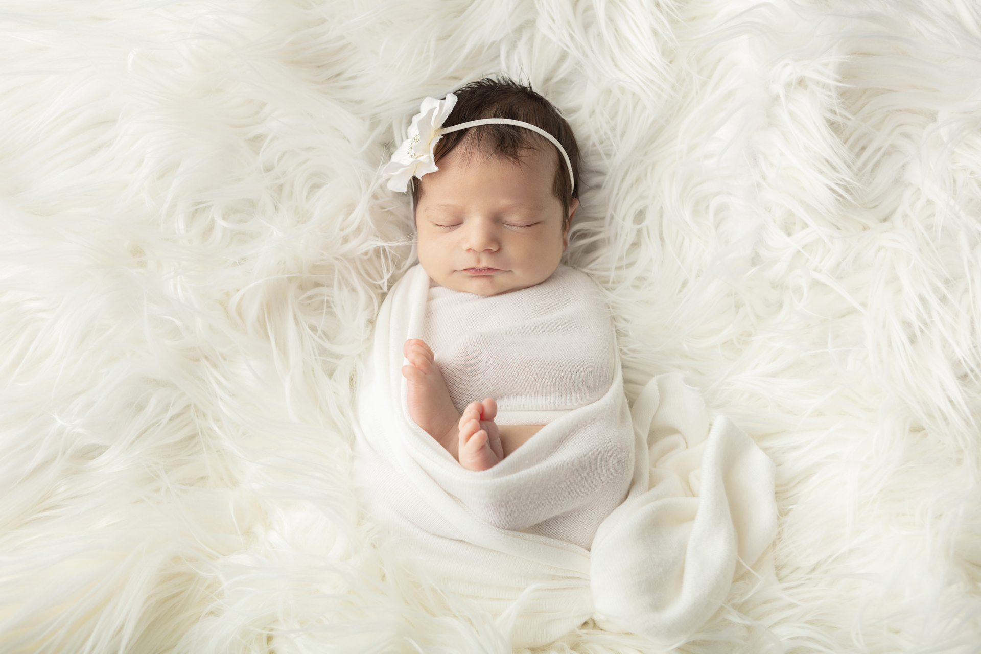 1474 Looking Up Photography