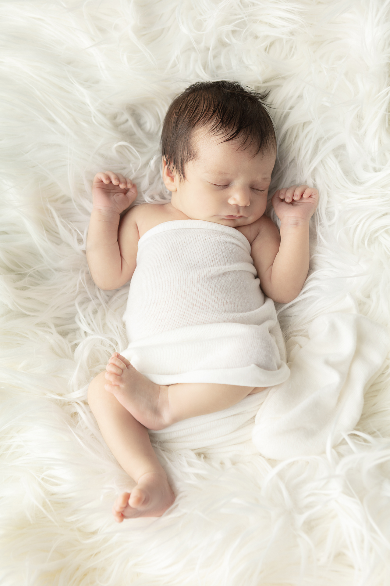 1509 Looking Up Photography