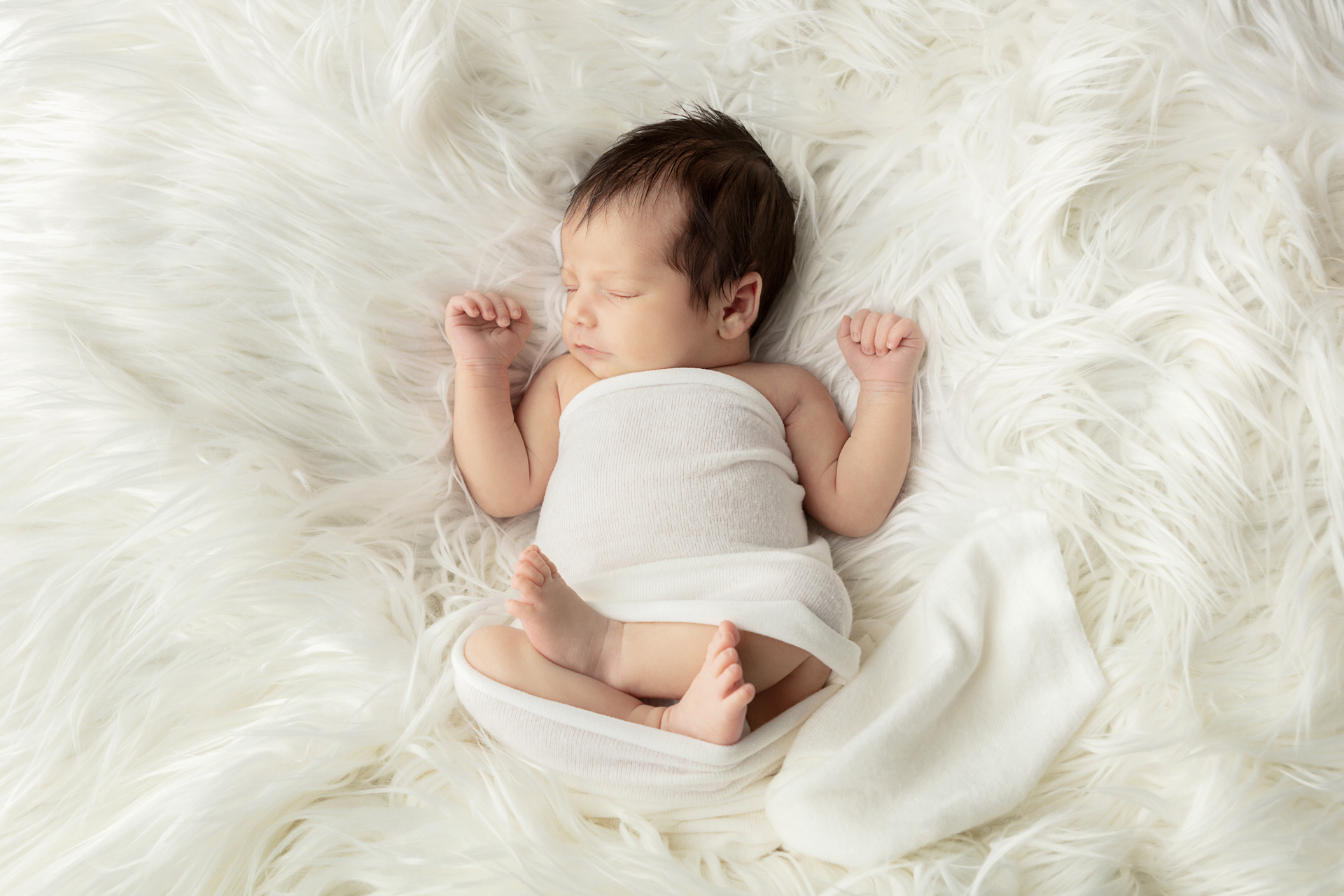 1531 Looking Up Photography