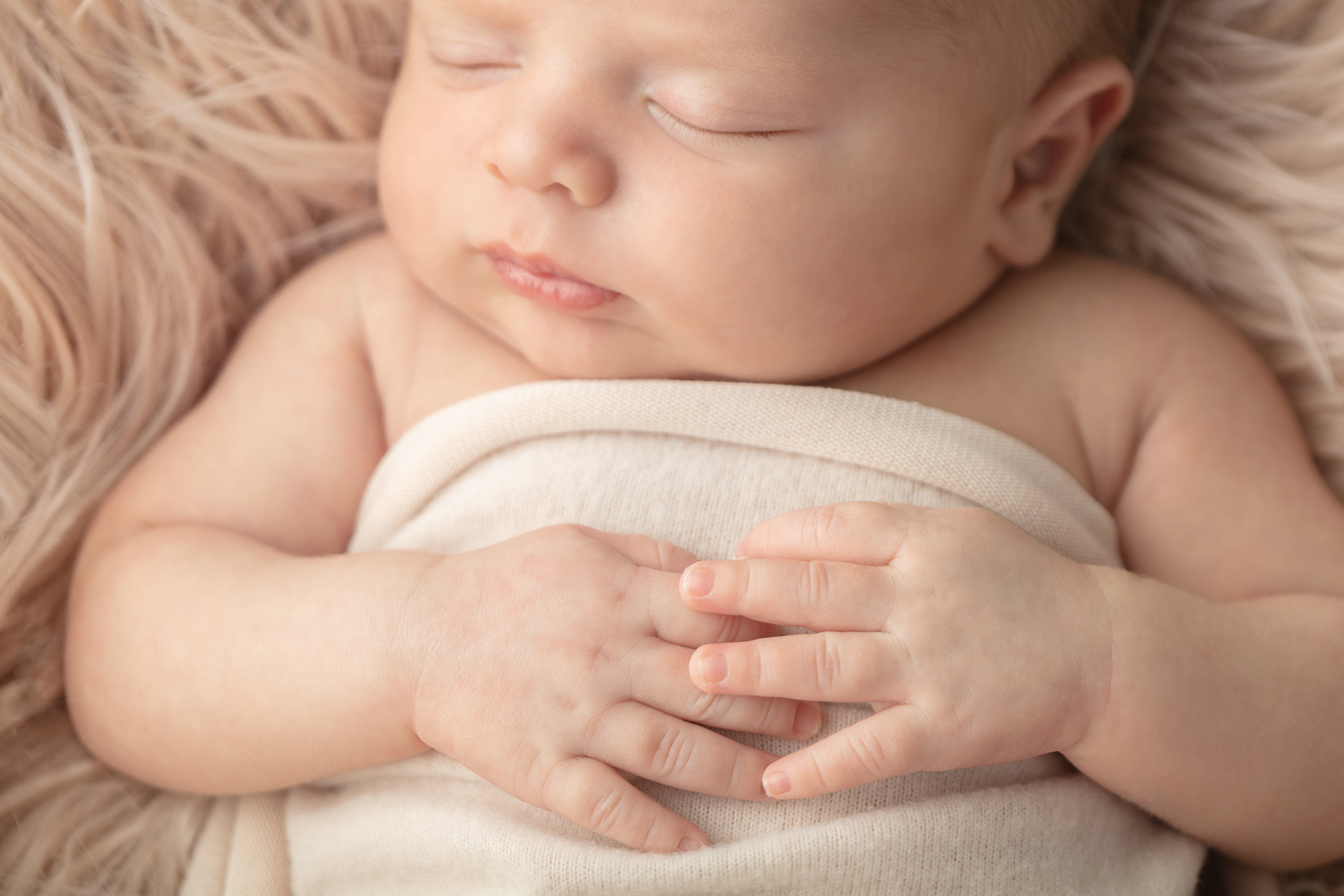 0035 Looking Up Photography