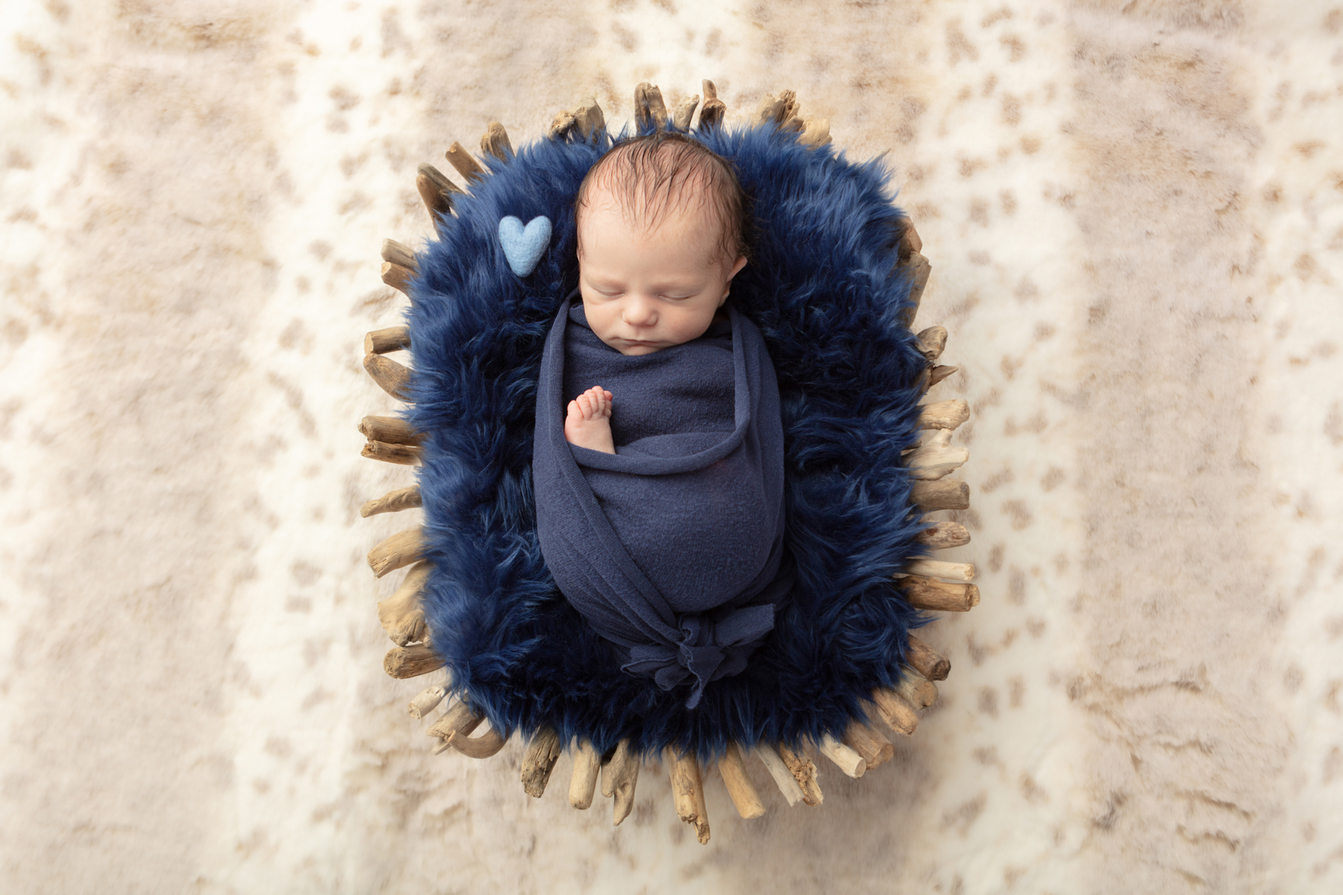 0112 Looking Up Photography