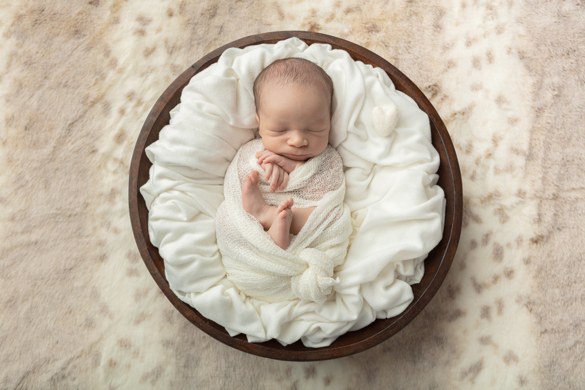 0874 Looking Up Photography