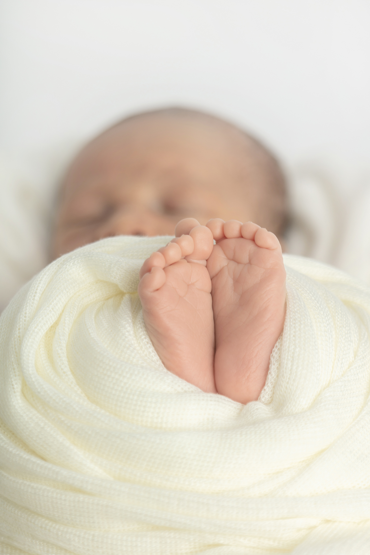 0915 Looking Up Photography