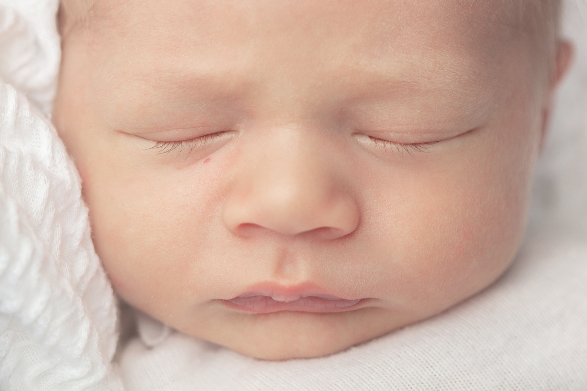 0011 Looking Up Photography