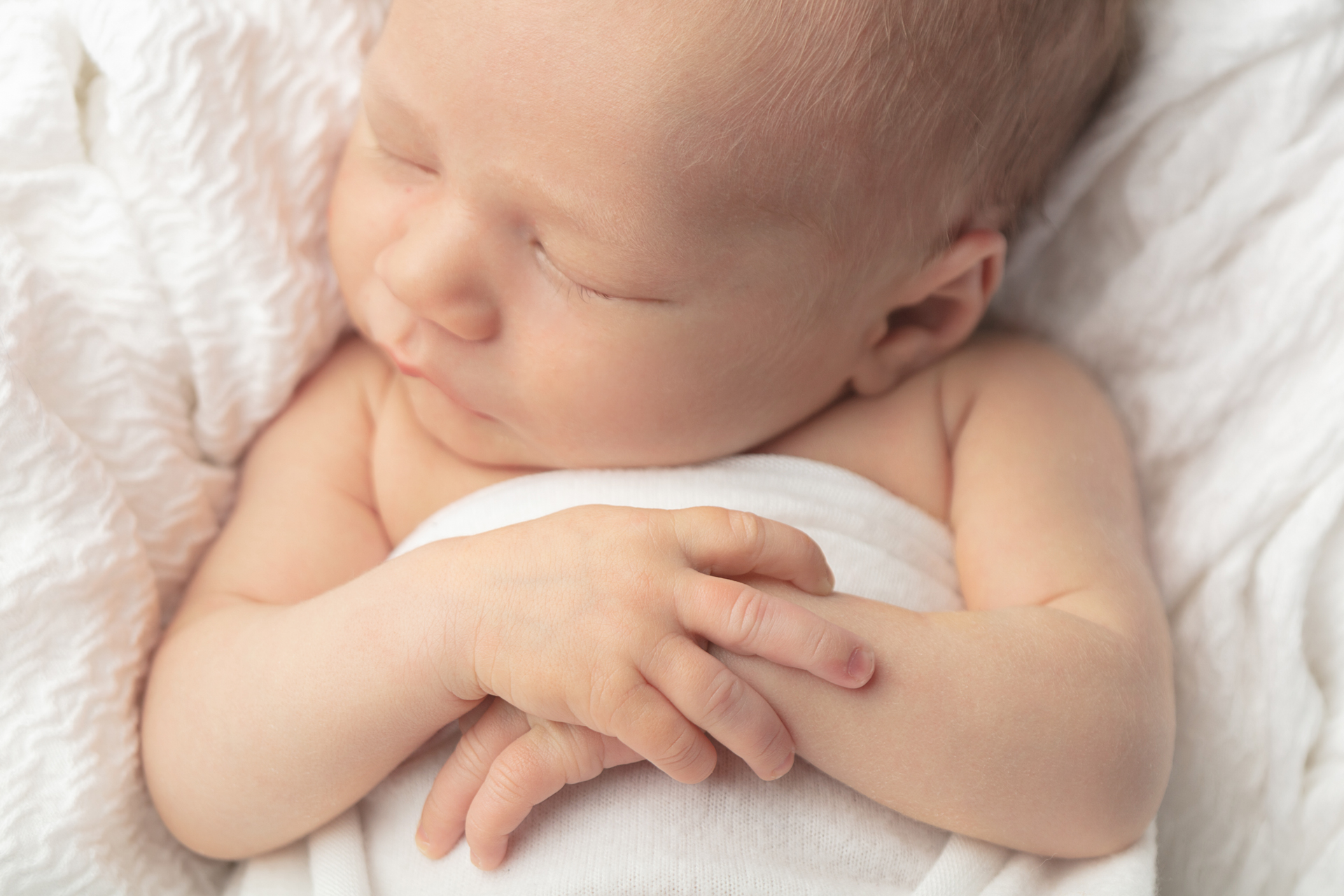 0017 Looking Up Photography