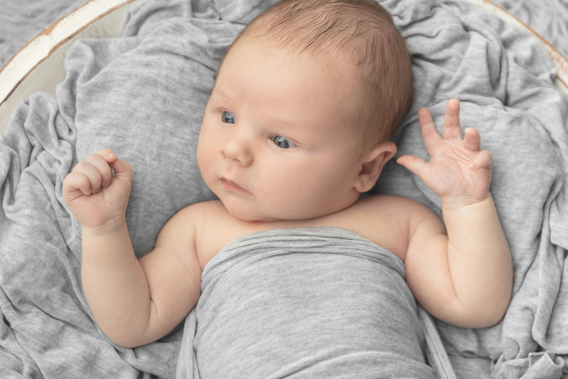 0615 Looking Up Photography