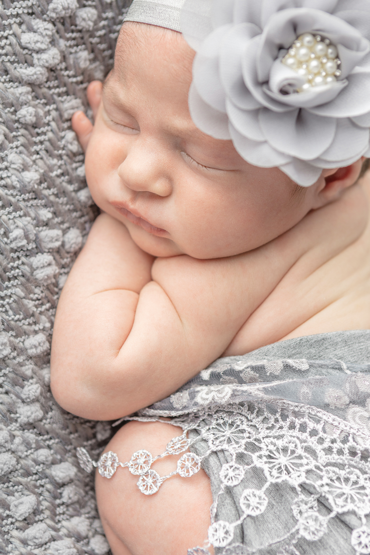 1040 Looking Up Photography