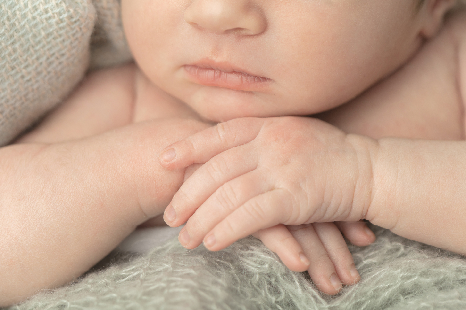 1095 Looking Up Photography