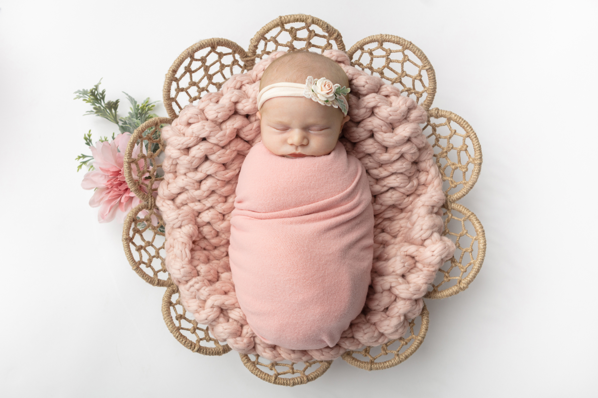 1035 Looking Up Photography