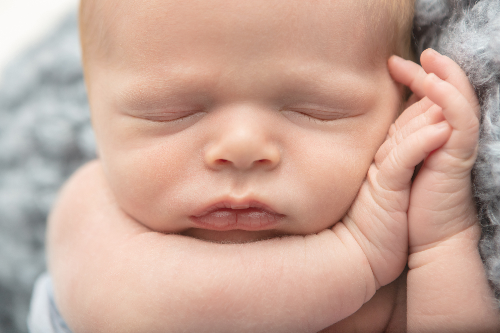 0246 Looking Up Photography