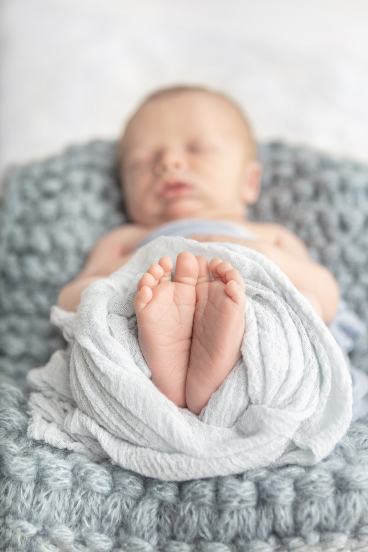 0266 Looking Up Photography