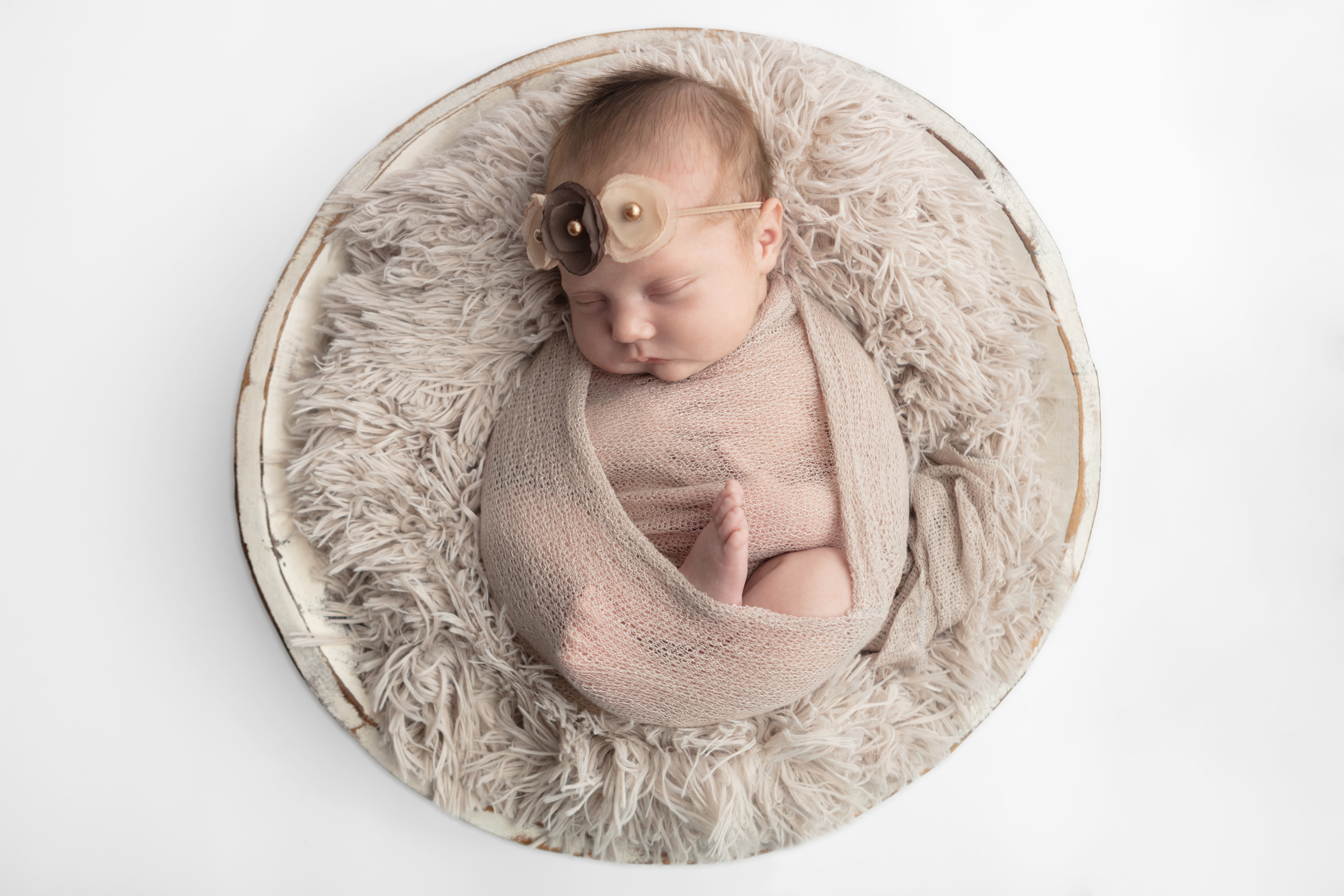 0626 Looking Up Photography