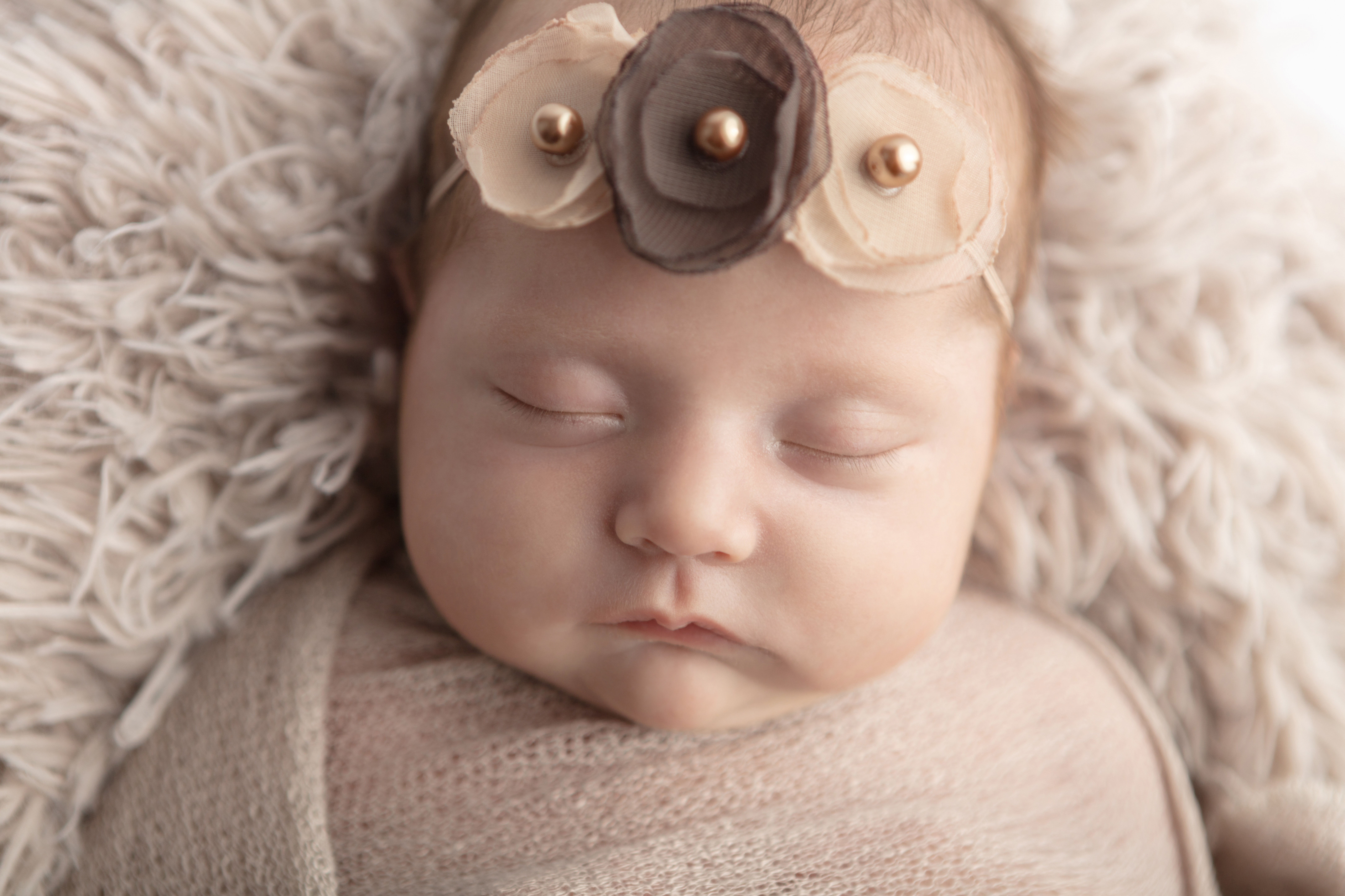 0632 Looking Up Photography