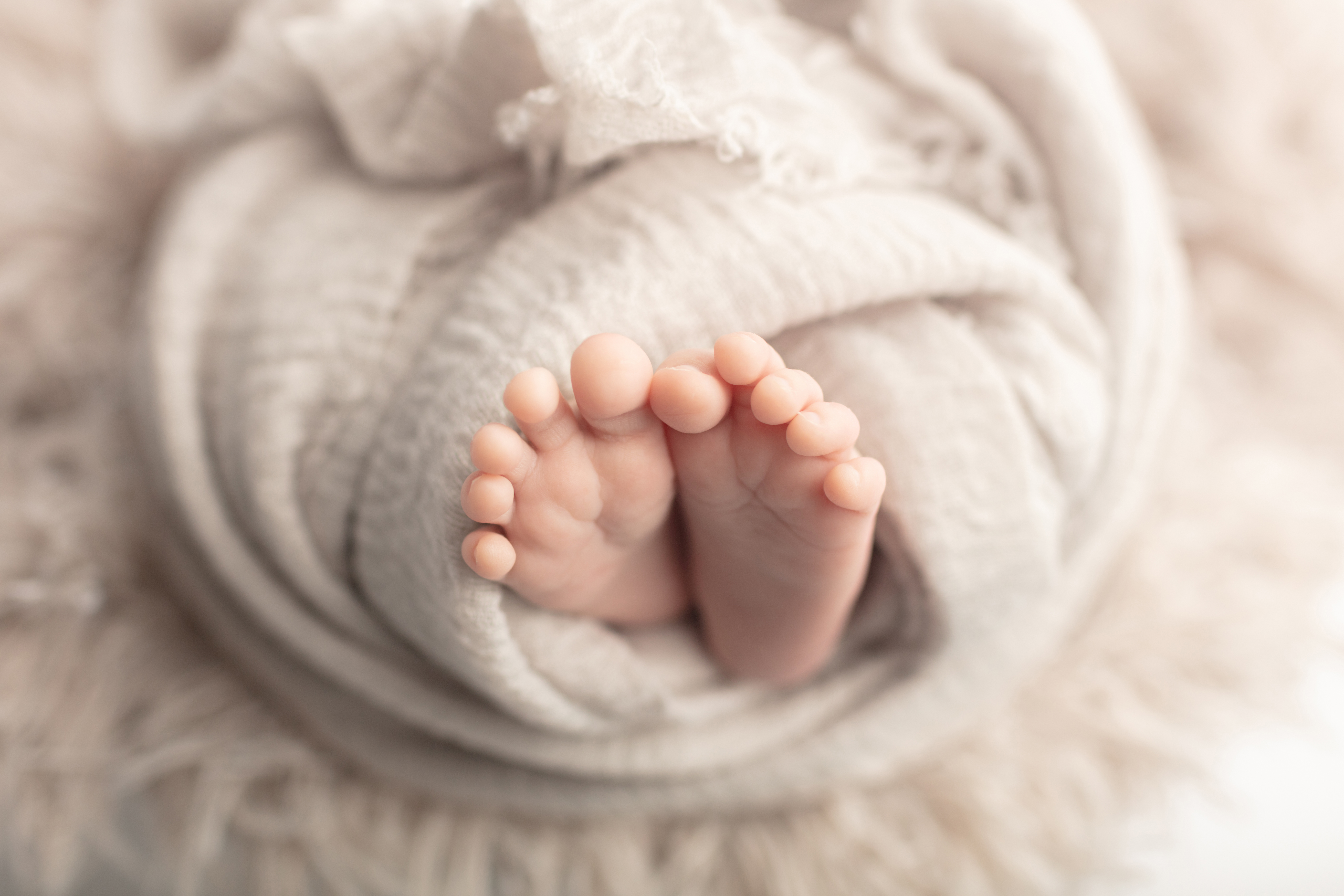 0652 Looking Up Photography