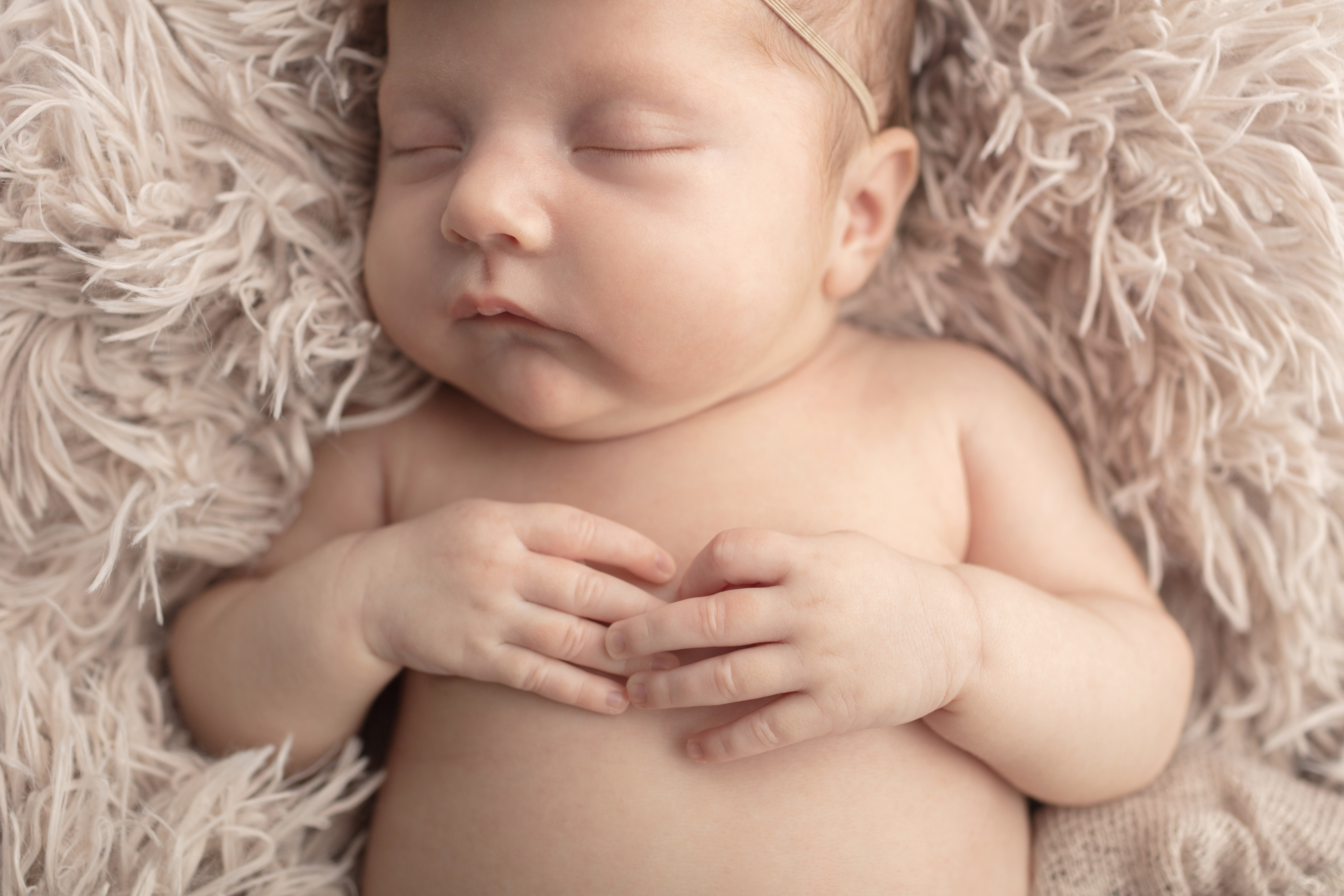 0658 Looking Up Photography