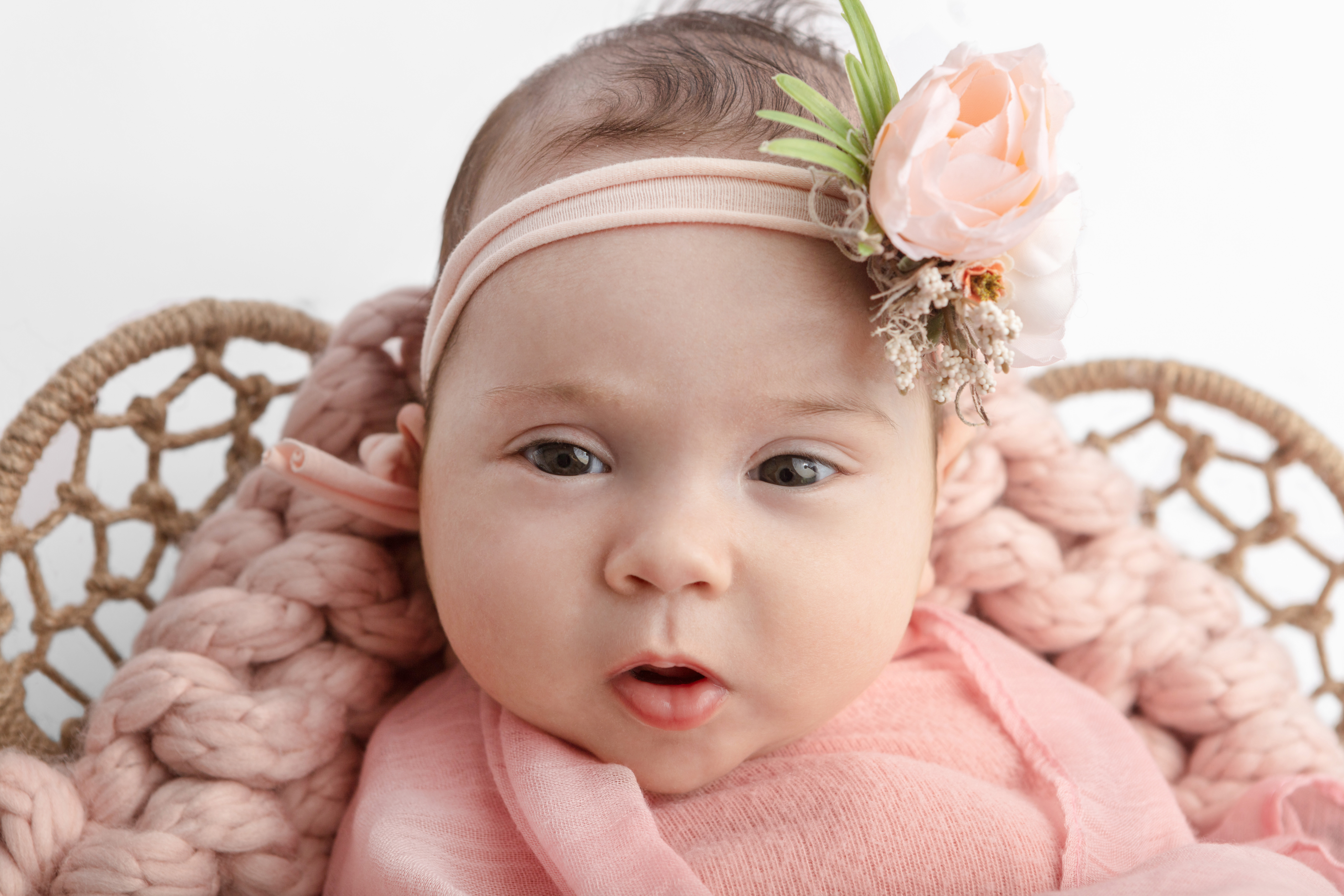 0455 Looking Up Photography