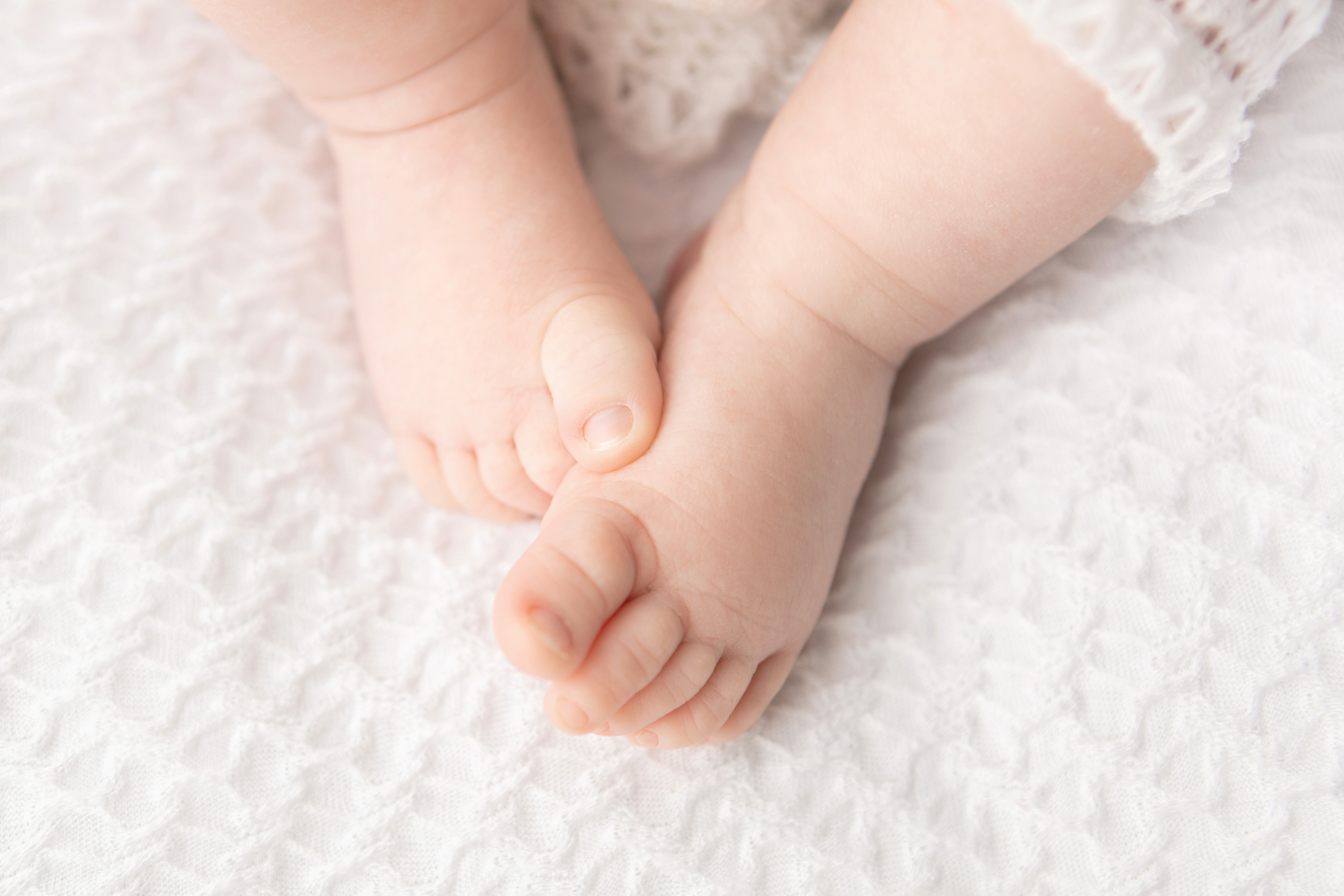 0517 Looking Up Photography